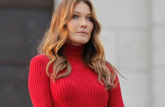 Carla Bruni : retour sur sa relation fusionnelle avec son frère aîné décédé à 45 ans