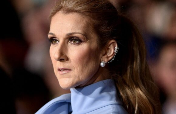 Céline Dion : son fils René-Charles accro au jeu, les raisons de leur brouille dévoilées