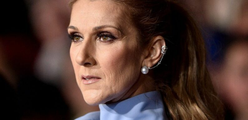 Céline Dion : son fils René-Charles accro au jeu, les raisons de leur brouille dévoilées