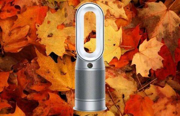 Cet appareil 3 en 1 Dyson avec purificateur d'air, ventilateur et chauffage est le bon plan du jour sur le site officiel