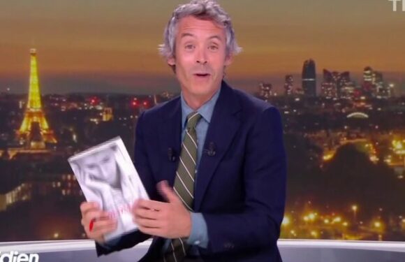 Jean-Jacques Goldman fan de Quotidien : cette confidence de Yann Barthès