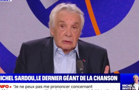 Michel Sardou charmé par Brigitte Macron : “Elle est pas mal”