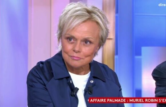 VIDÉO – Muriel Robin “plus amie” avec Pierre Palmade : “Moi, je peux me regarder dans la glace”