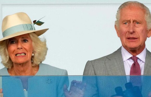 "Fromage à pâte molle", "vieillard rougeaud" : Charles et Camilla, à peine arrivés à Paris, déjà taclés par les plus célèbres humoristes français !