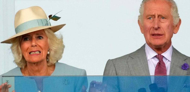 "Fromage à pâte molle", "vieillard rougeaud" : Charles et Camilla, à peine arrivés à Paris, déjà taclés par les plus célèbres humoristes français !