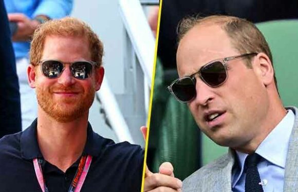 Les princes William et Harry, toujours en froid, adoptent le même look