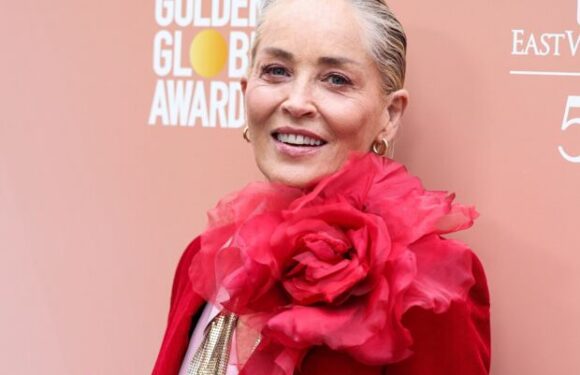 Sharon Stone “handicapée” 22 ans après son AVC : ses touchantes confidences