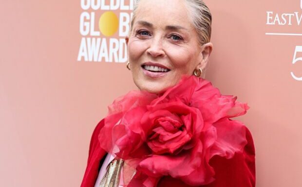 Sharon Stone “handicapée” 22 ans après son AVC : ses touchantes confidences