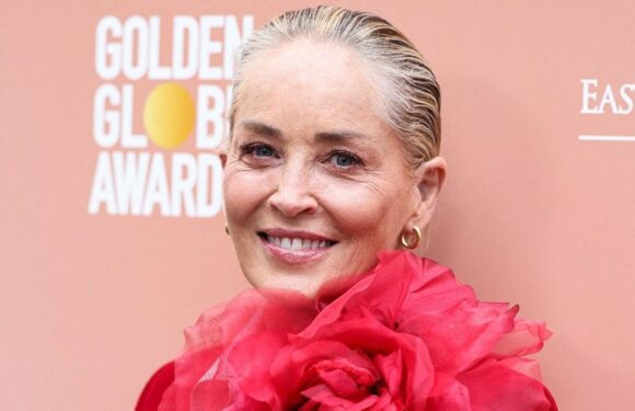 Sharon Stone, son cerveau touché : une grave erreur de diagnostic qui aurait pu lui coûter la vie