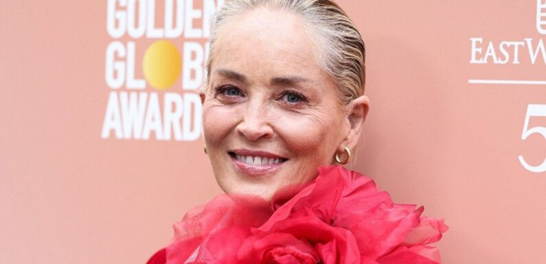 Sharon Stone, son cerveau touché : une grave erreur de diagnostic qui aurait pu lui coûter la vie