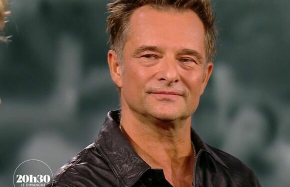 20h30 le dimanche : cette archive intime de Sylvie Vartan qui a bouleversé David Hallyday
