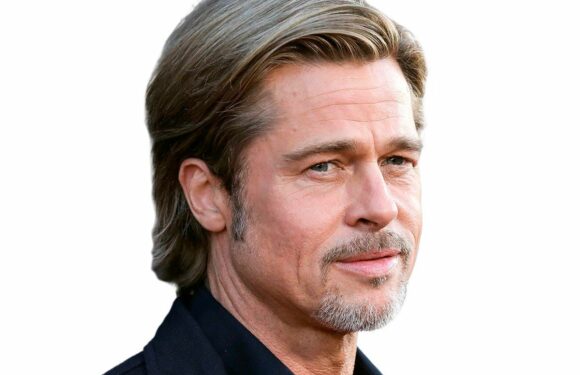 Brad Pitt : “Un connard de classe mondiale !”