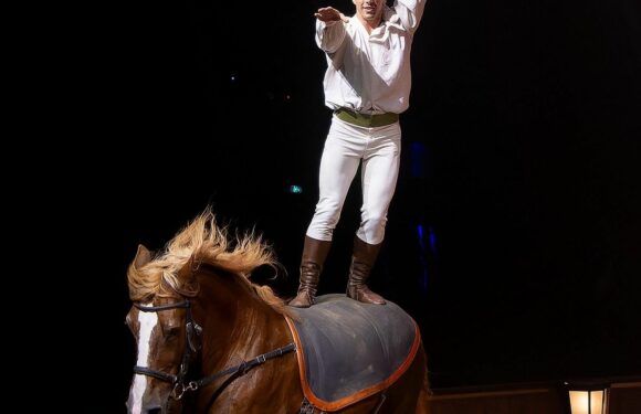 Interview de Stephan Gruss : “Nos chevaux sont notre priorité”