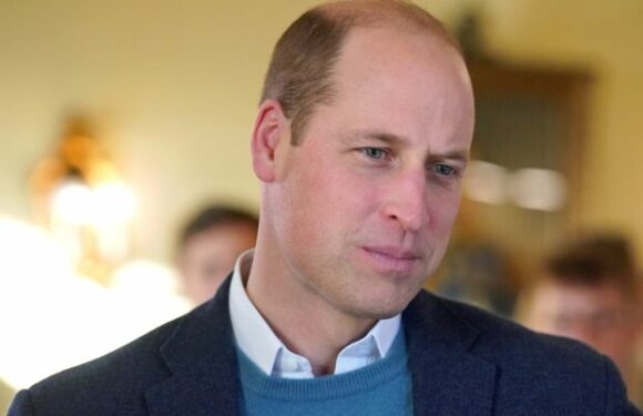 Le prince William plus “radical” que Charles III : son futur règne décrypté