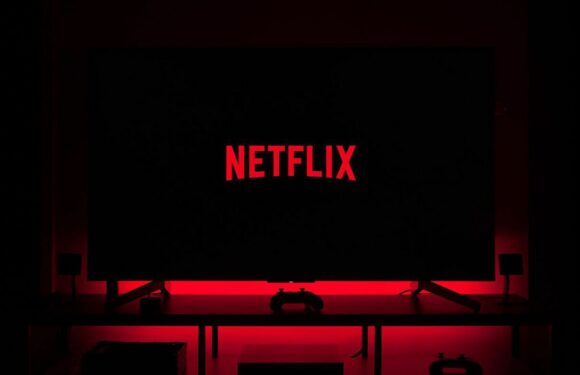 Netflix : ces pépites qui viennent d’être ajoutées au catalogue ont totalement chamboulé le classement