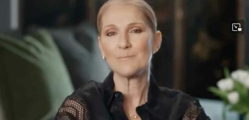 Valérie Lemercier "inquiète" pour Céline Dion : elle n’insistera plus pour que la star voie son film…