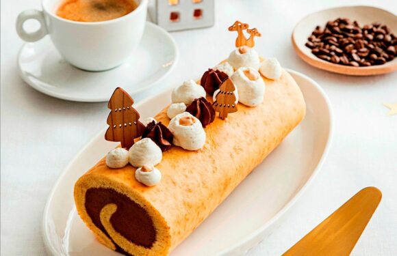 Bûche de Noël au chocolat et au café Gold Delta