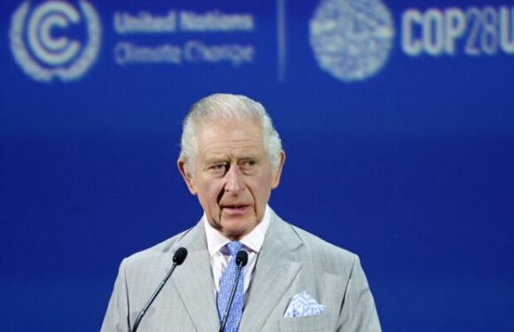 Charles III à la COP28 : le roi fait passer un message politique avec… sa cravate