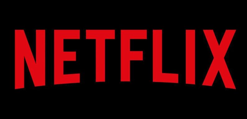 Netflix : cette série douce et touchante parfaite pour la période de Noël à voir absolument ce lundi